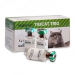 Нобивак Tricat Trio иммунизация кошек