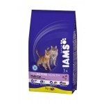 IAMS Cat мультикэт корм для кошек курица/лосось 3 кг